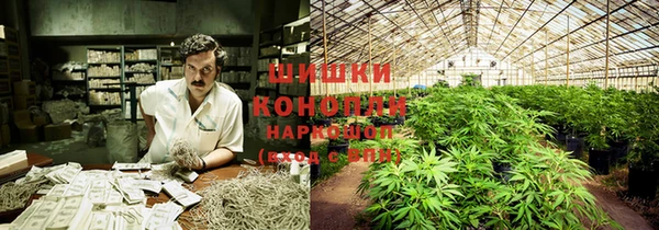спайс Козловка