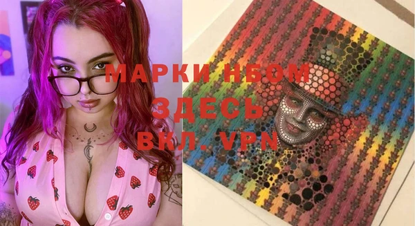 крисы Корсаков