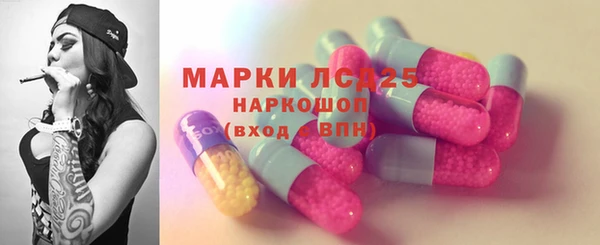 крисы Корсаков
