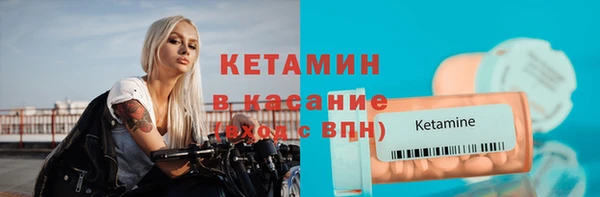 крисы Корсаков