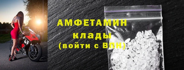 крисы Корсаков