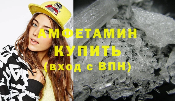 крисы Корсаков