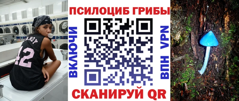 Купить  Бежецк  Галлюциногенные грибы MAGIC MUSHROOMS 